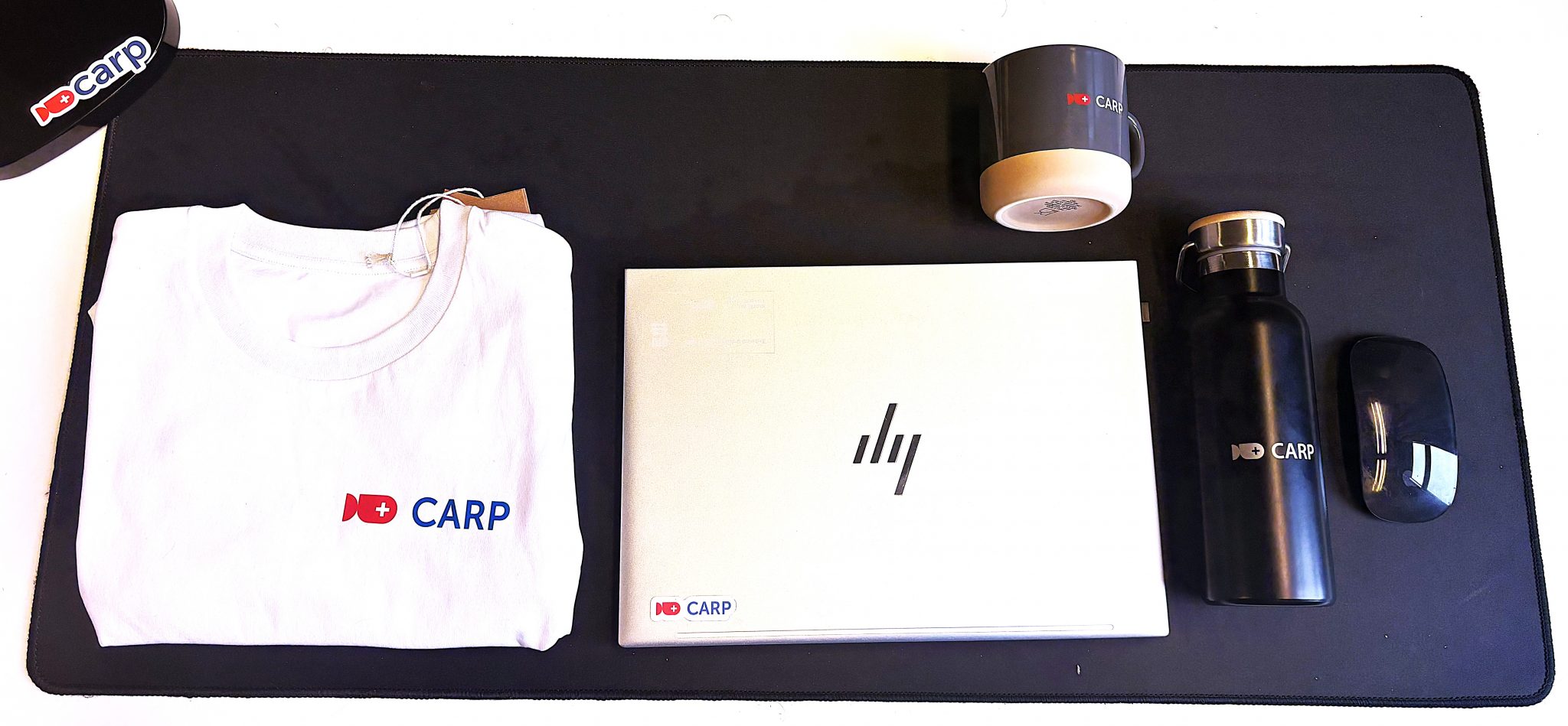 CARP Team Merch is Here! – Copenhagen Research Platform (CARP)